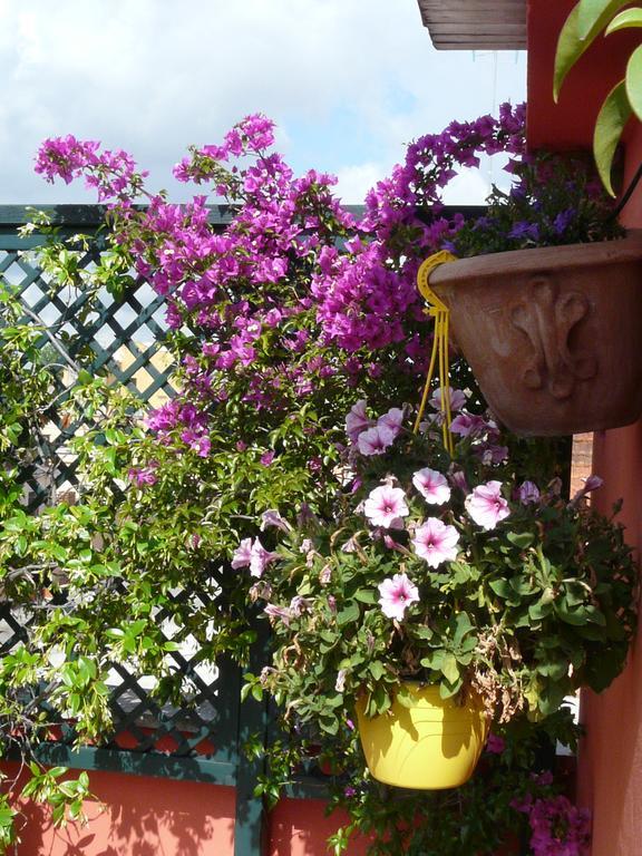 Li Rioni Bed & Breakfast Ρώμη Εξωτερικό φωτογραφία
